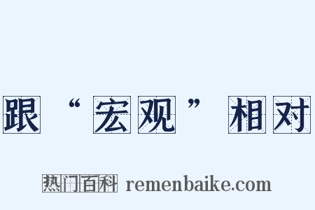 跟“宏观”相对是什么意思的图片